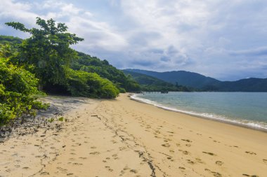 rio de janeiro vahşi beach