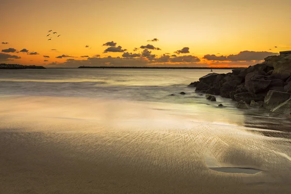Sonnenuntergang am Strand mit fliegenden Vögeln — Stockfoto