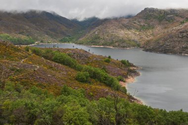 dağlar arasında doğal bir parkta Nehri