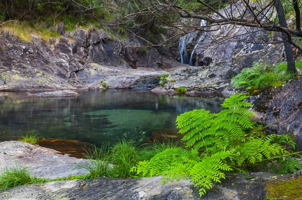 Cascada y lago con agua transparente en medio del bosque —  Fotos de Stock