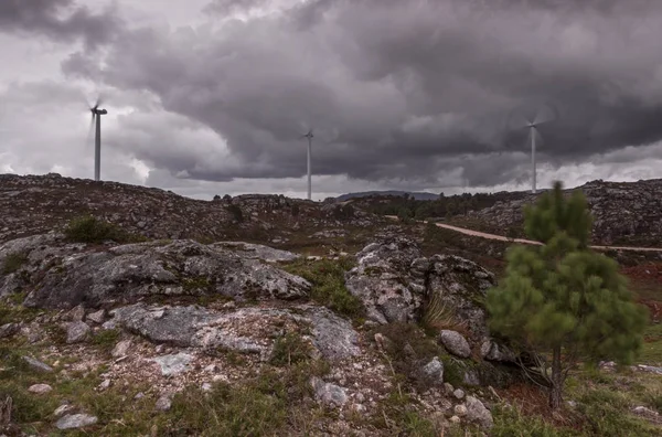 Windpark auf dem Berg an einem trüben Tag — Stockfoto