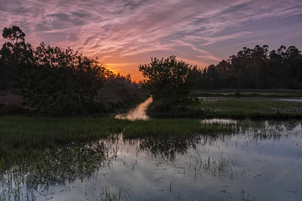 Bataklık kırmızı günbatımı — Stok fotoğraf