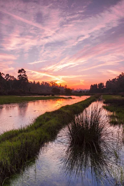 Pôr-do-sol vermelho no pântano — Fotografia de Stock