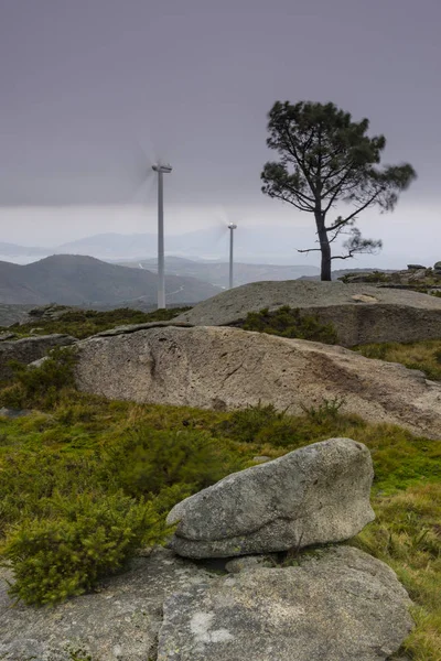 Parque eólico en la cima de la montaña en un día nublado —  Fotos de Stock