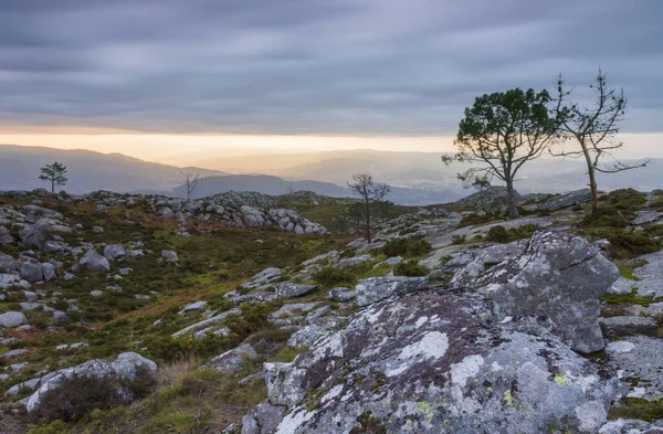 Cima de la montaña con rocas y árboles en un día nublado —  Fotos de Stock