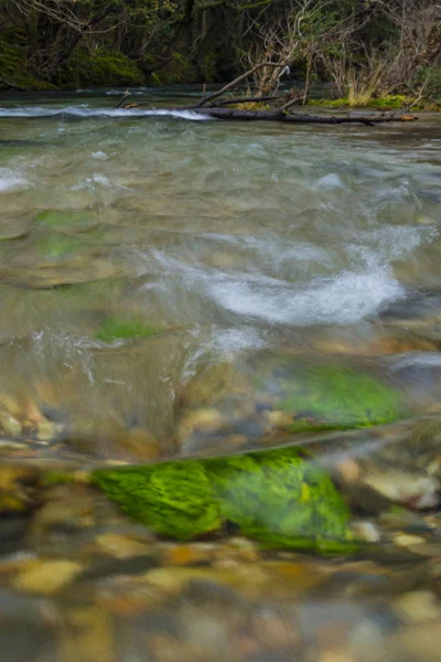 Rio selvagem flutuando no meio da floresta — Fotografia de Stock