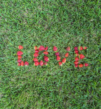 Çilek ile yapılan kelimesini seviyorum