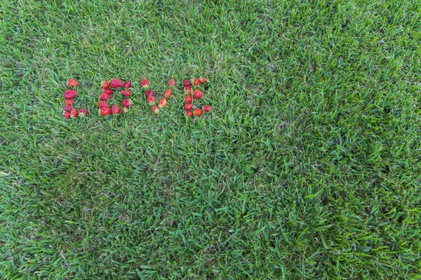 Çilek ile yapılan kelimesini seviyorum