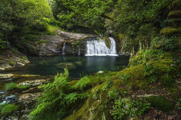 Yeşil bitki örtüsü ile dağ nehir şelale