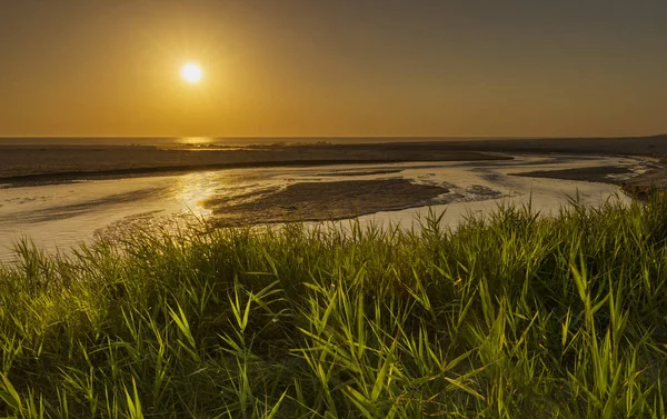 Sonnenuntergang am Strand mit grüner Vegetation — Stockfoto