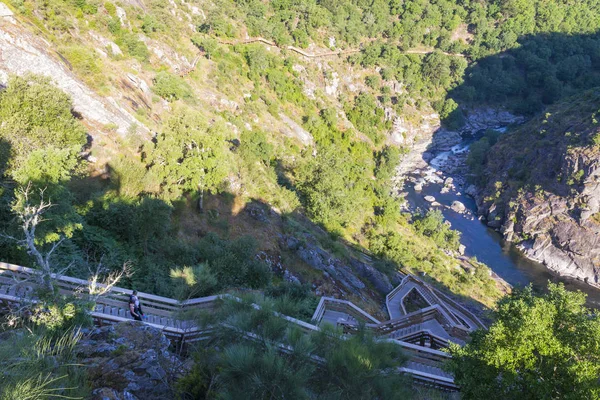 Zwei Frauen gehen Waldweg durch den Wald — Stockfoto