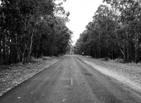 Camino vacío y solitario en blanco y negro —  Fotos de Stock