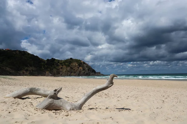 Ramos na praia contra uma paisagem nublada — Fotografia de Stock