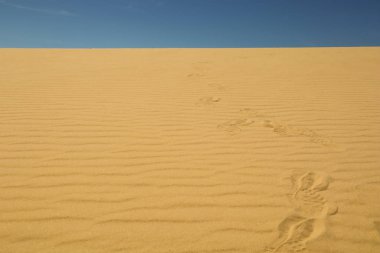 Kumda, açık mavi gökyüzünde ayak izleri.