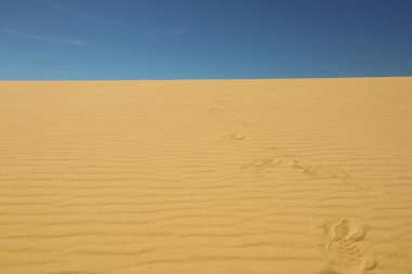 Kumda, açık mavi gökyüzünde ayak izleri var.