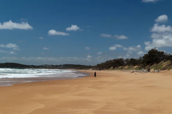 Praia longa e remota com apenas uma pessoa andando — Fotografia de Stock