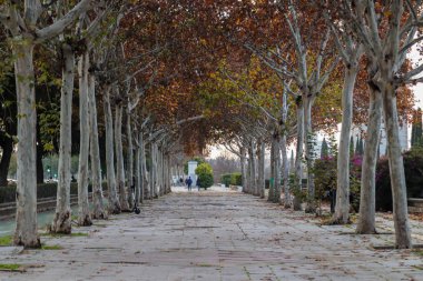 Sonbaharda kırmızı yapraklı boş gezinti güvertesi
