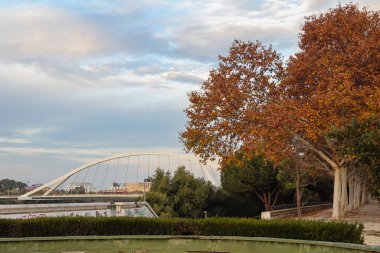 Sonbaharda köprünün yanında sakin bir gezinti.