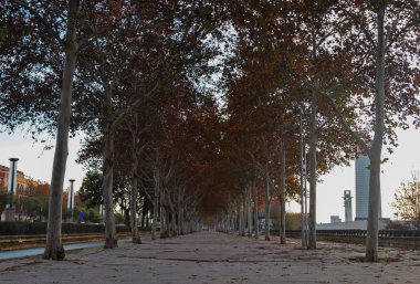 Sonbaharda kırmızı yapraklı boş gezinti güvertesi