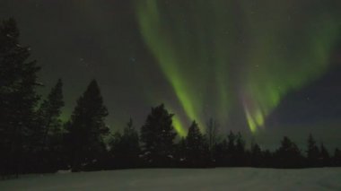 Ağaçların tepesindeki renkli Aurora Borealis 'in ve Kuzey Laponya, Finlandiya' da kış mevsiminde ormanın içinden geçen kar aracı pistinin zamanlanmış bir videosu..