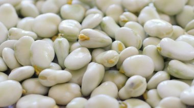 Çiğ, taze fasulye. Yakın çekim.