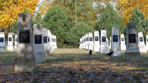 ELBLAG, POLAND - AUGUST 2019: Soviet soldiers cemetery who died in world war II — Stock Photo, Image