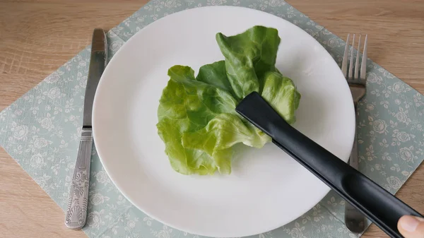 Dieta. Podáváme jeden list salátu na talíři — Stock fotografie