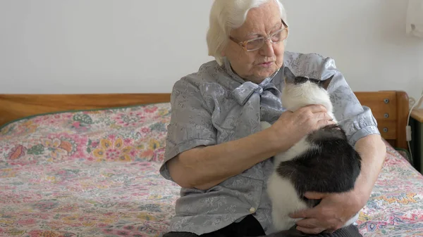 Yaşlı kadın bir kediyle konuşuyor. Kedili yaşlı bir kadın.