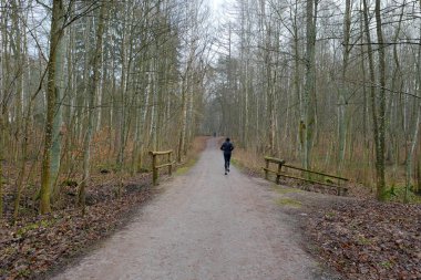 İnsan orman yolunda koşuyor.