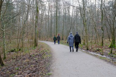 Bazant adındaki tarihi orman parkında insanlar orman yolunda geziniyor.