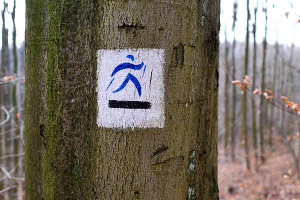 Black trail. Nordic walking trail marking on a tree