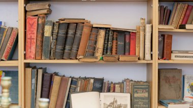 POLAND - 2019 AĞUSTOS: Bit pazarında satılık eski kitaplar.