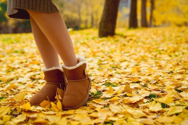 Sonbahar, kızlar ve sarı gingko yaprakları