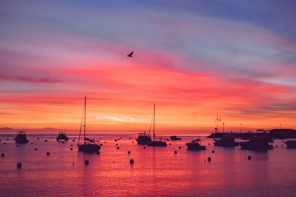 Belo nascer do sol na praia na ilha de Catalina — Fotografia de Stock