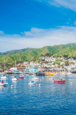 Catalina Island, sunny and charming sea view
