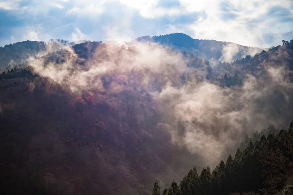 La montaña de los cerezos está llena de humo —  Fotos de Stock