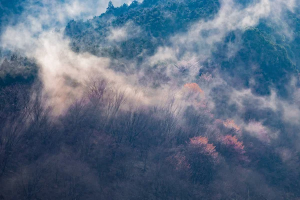 La montaña de los cerezos está llena de humo — Foto de Stock