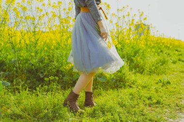 Çiçekler baharda açıyor tecavüz çiçekleri tam çiçekleniyor ve küçük arı Cole çiçeklerinden polen topluyor. 