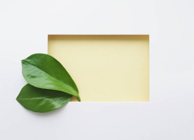 Dikdörtgen şeklinde bir deliği olan beyaz bir sayfa, arka planda sarı kağıdın üzerindeki gölge. İki koyu yeşil yaprak. Çevresel dostluk kavramı, doğallık. Metin için boşluk
