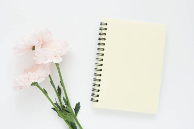 Baharda sarı defter ve beyaz bir masada pembe kasımpatı çiçeği.