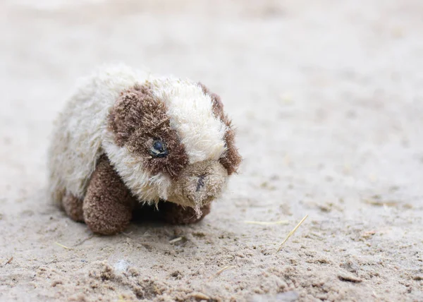 Torn plush toy in the sand — Stock Photo, Image