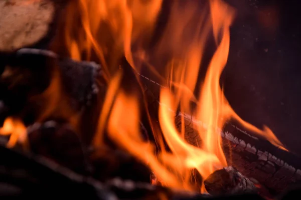 firewood burns in a red flame during a fire.