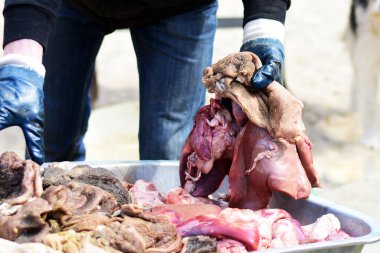 Eldivenli bir adam iç organlarını konteynırdan çıkarır.. 