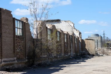 Kırık camlı, yıkık dökük bir bitkinin duvarı. Arkadaki mavi gökyüzü