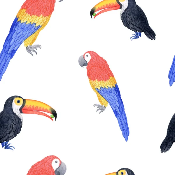 Parlak egzotik tukan ve papağan kuşları. Suluboya kusursuz desen. Yaz dekorasyonu için tropikal tasarım iç mimari, baskı posterleri, tebrik kartları, afişler, ambalajlama.