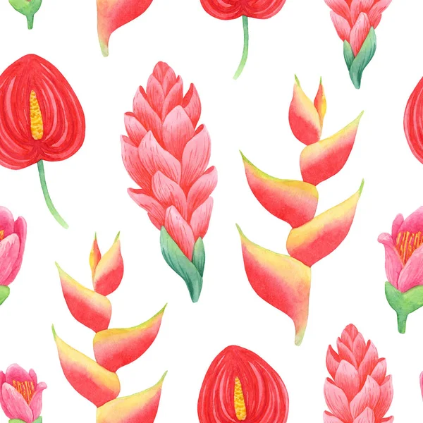 Patrón Acuarela Sin Costuras Brillante Con Flores Exóticas Inspiradas Exuberante Fotos de stock libres de derechos