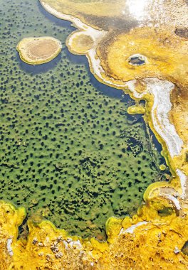 Yellowstone Ulusal Parkı 'nda sıcak kaynak suyunun doğal deseni.