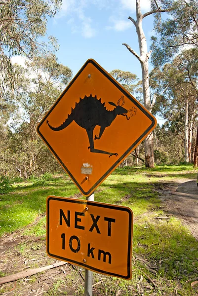 Funny kangaroo sign in the forests, Australia