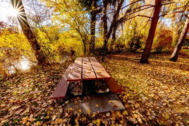 Sonbaharda Boise nehri boyunca piknik yeri ve masa ve barbekü.
