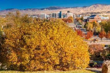 Boise City parkında sonbahar renkli çalı ve büyük harf B 'yi görüyor.